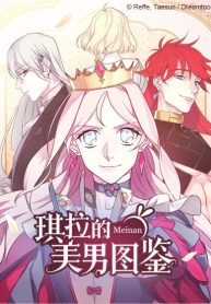 Kira’s Beautiful Male Illustrated Book